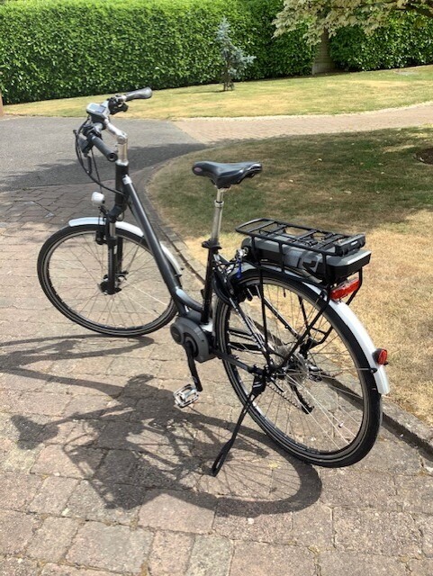 raleigh motus step through